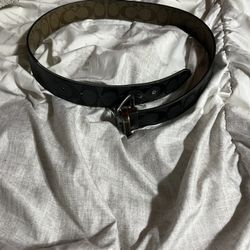 Coach belt