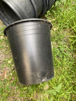 Used 5 Gallóns Pot For Sale , In Good Condition  3 For $1 Dollar Pick Up On City Of Whittier 