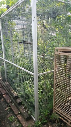 Bird Aviary (cage)