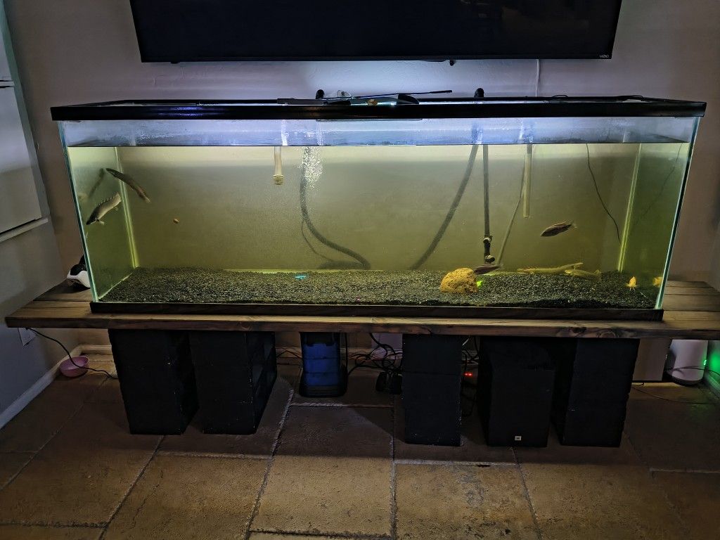 Fish Tank 130gal