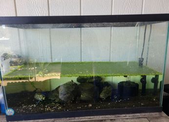 Large fish tank