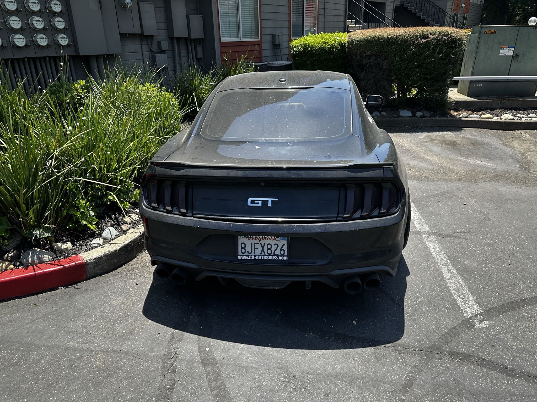 2019 Ford Mustang