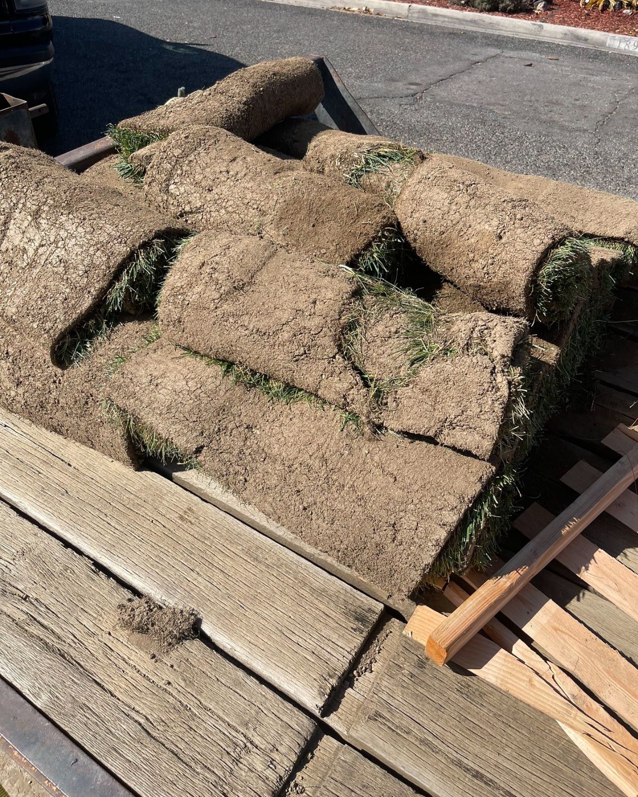Sod