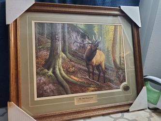 Painting Print Bass Pro Shop