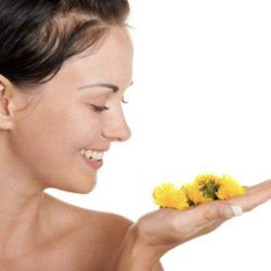 Dandelion Oil for health and beauty 