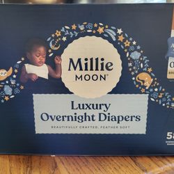 New Box Of Size 4 Diapers