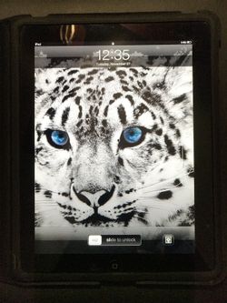 iPad and case for sale