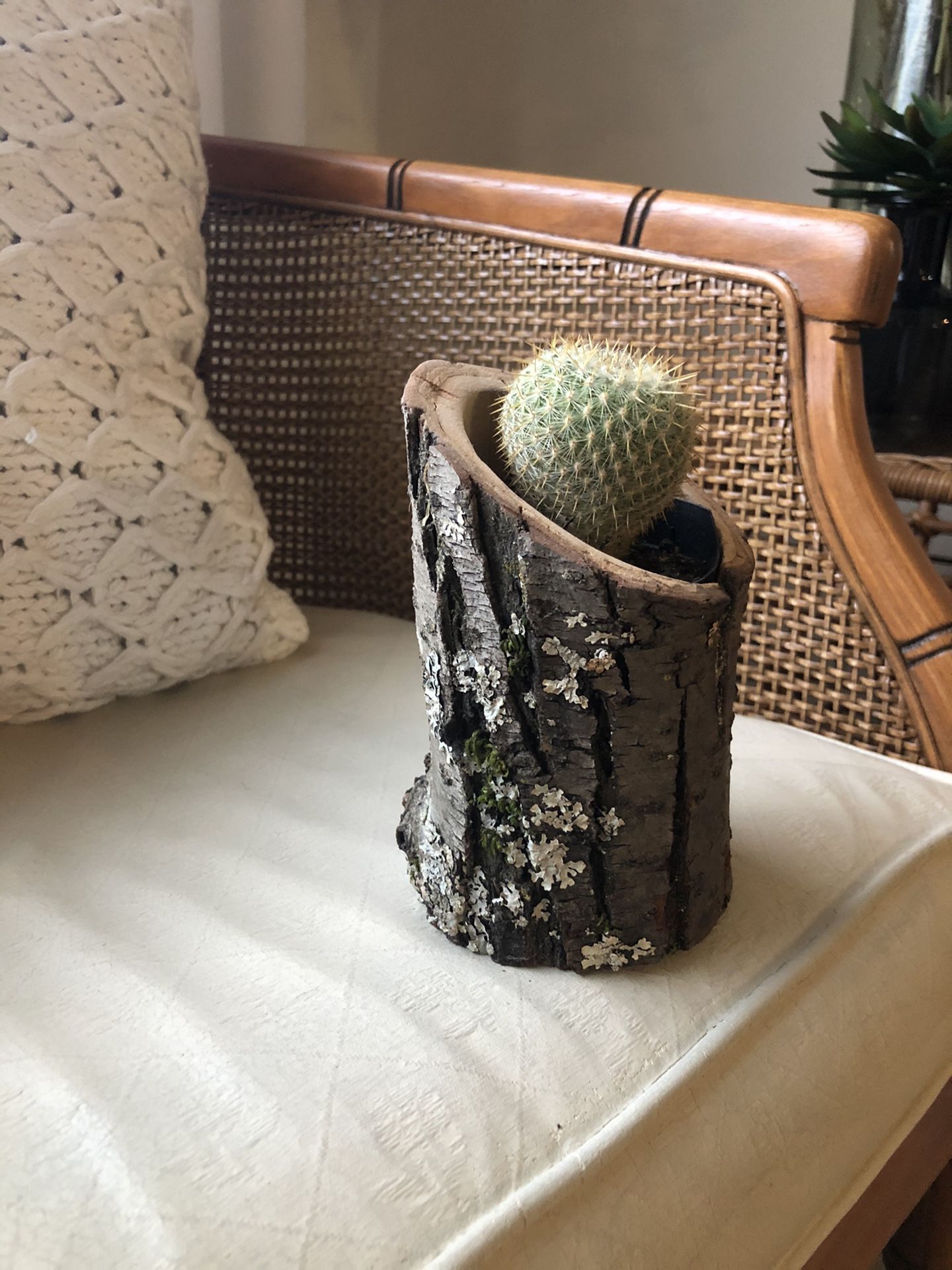 Log succulent vase / holder / candle holder / wood