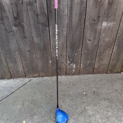 Nike Vaporlfy Gold Driver
