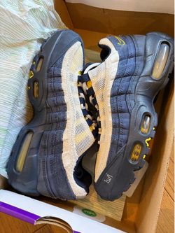 Nike sb air max