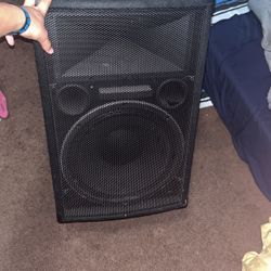 Community MVP36 Concert Speaker