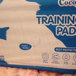 Cocoyo Pee Pads Regular Size 50 Count 