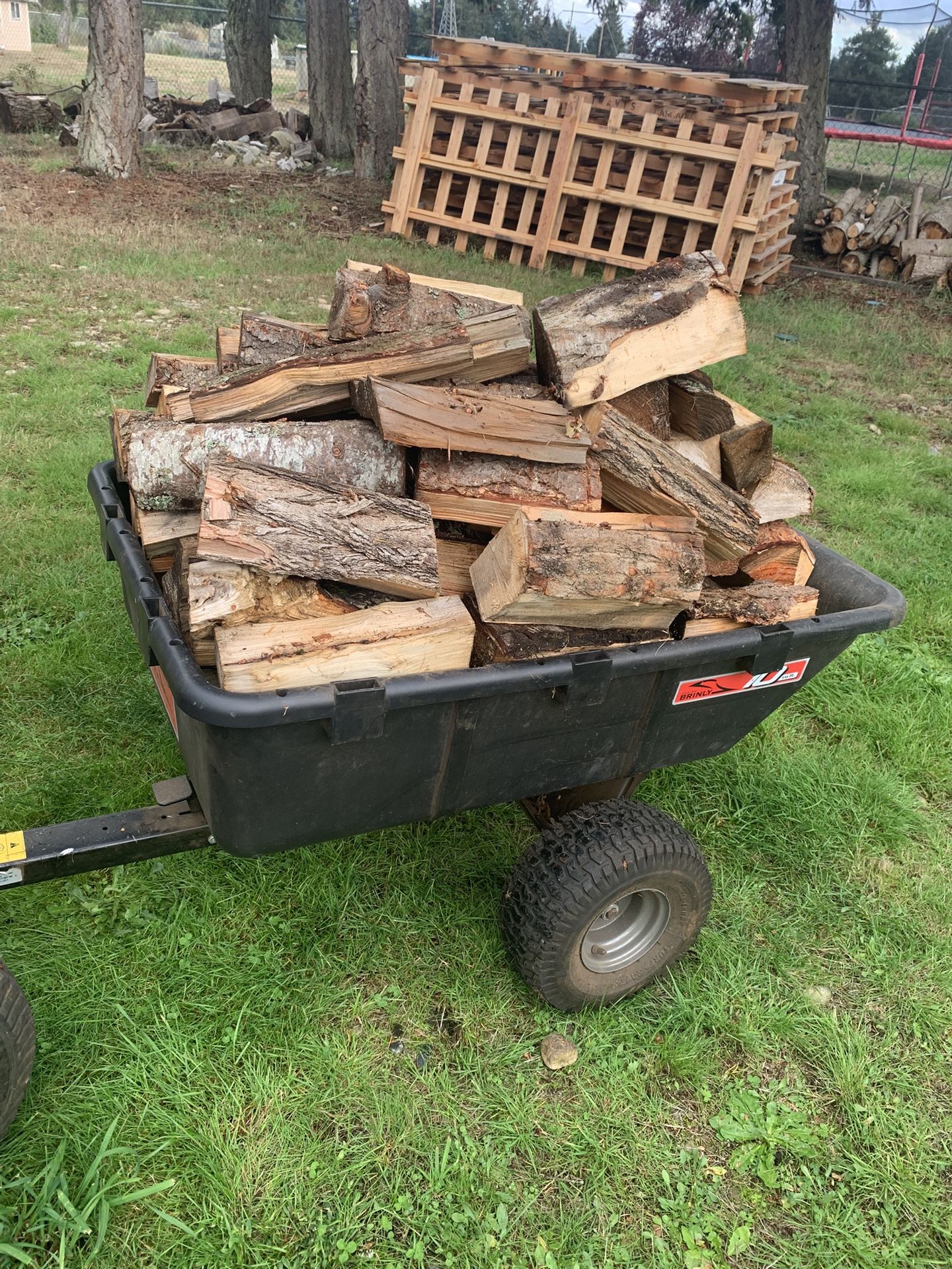 Trailer Of Seasonal Fire Wood.