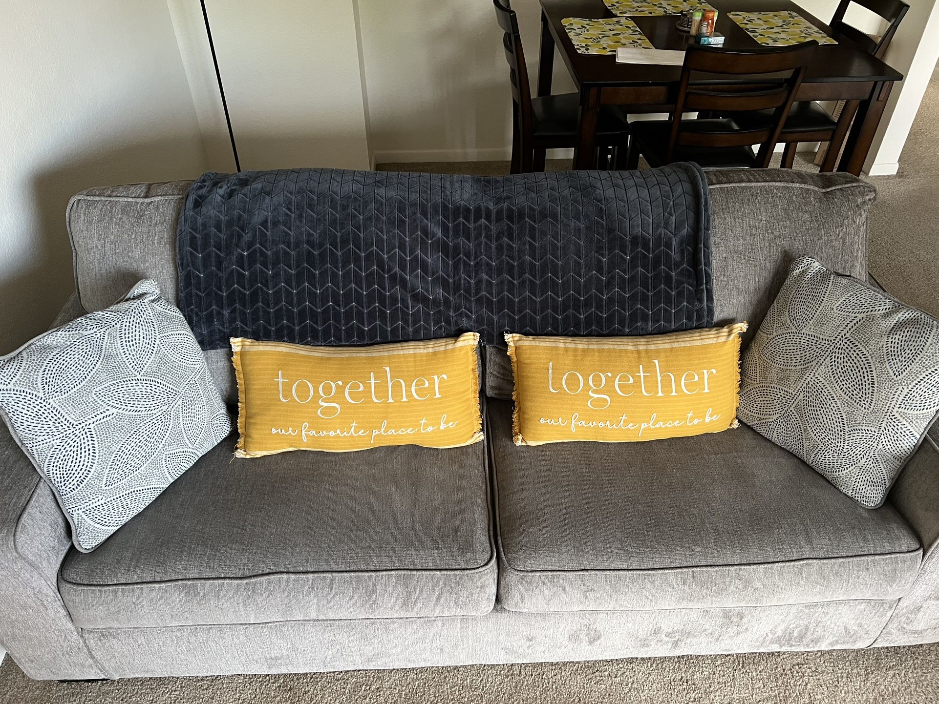 Queen Sofa Sleeper Bed- No Wear & Tear - In perfect Condition