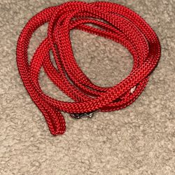 6 Ft Dog (cat) Leash  New