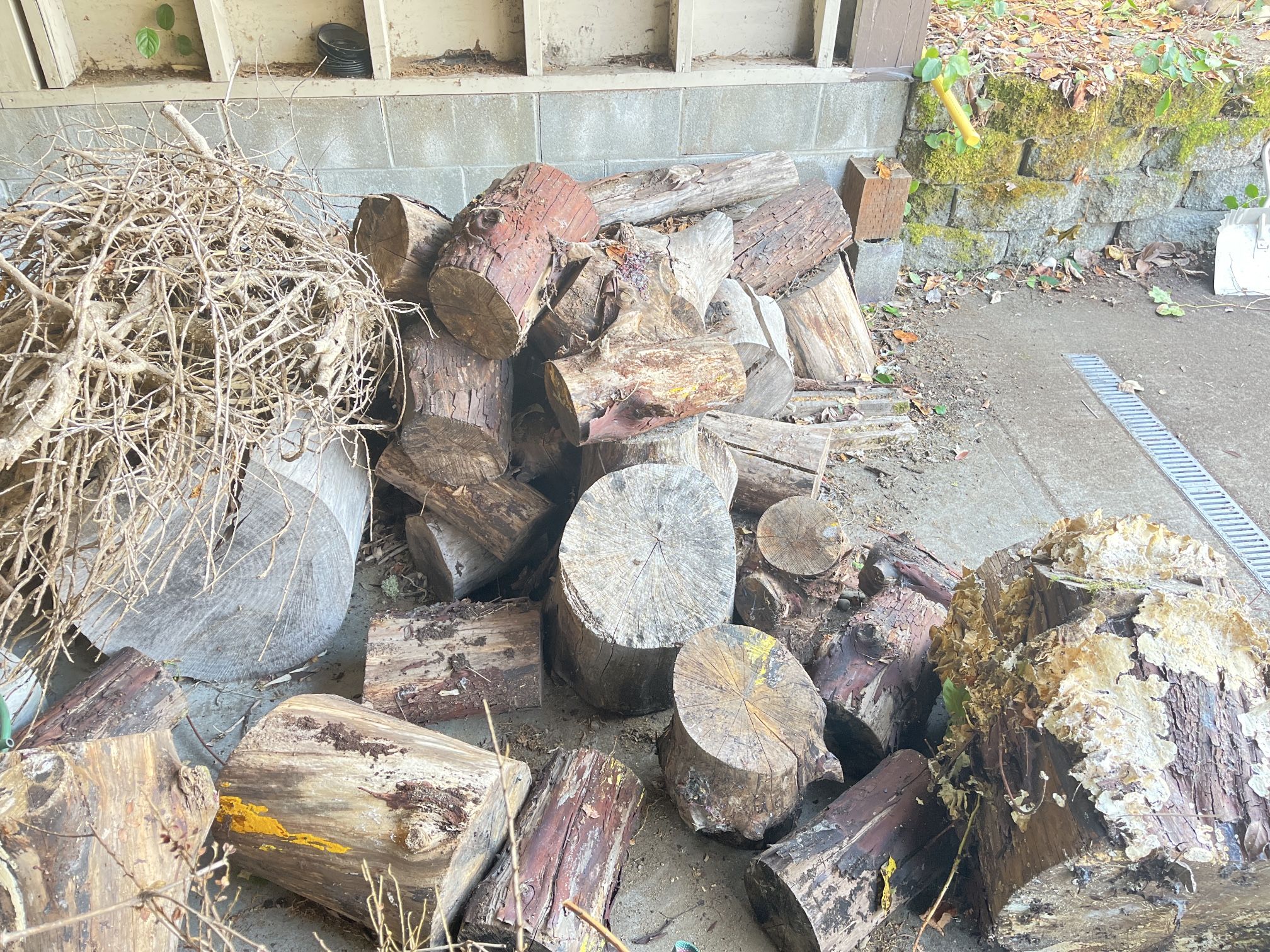 Weathered Firewood