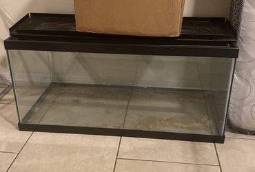 Glass Tank 36 X 16 $150 - OBO