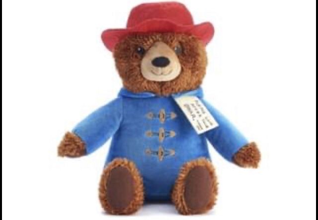 Paddington Bear Plush Toy New