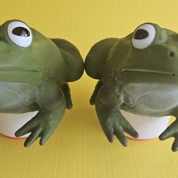 Floating Frog Chlorine Tablet Dispenser Set Of 2