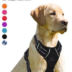 Brand New Xl Light Up Black Dog Harness And Leash