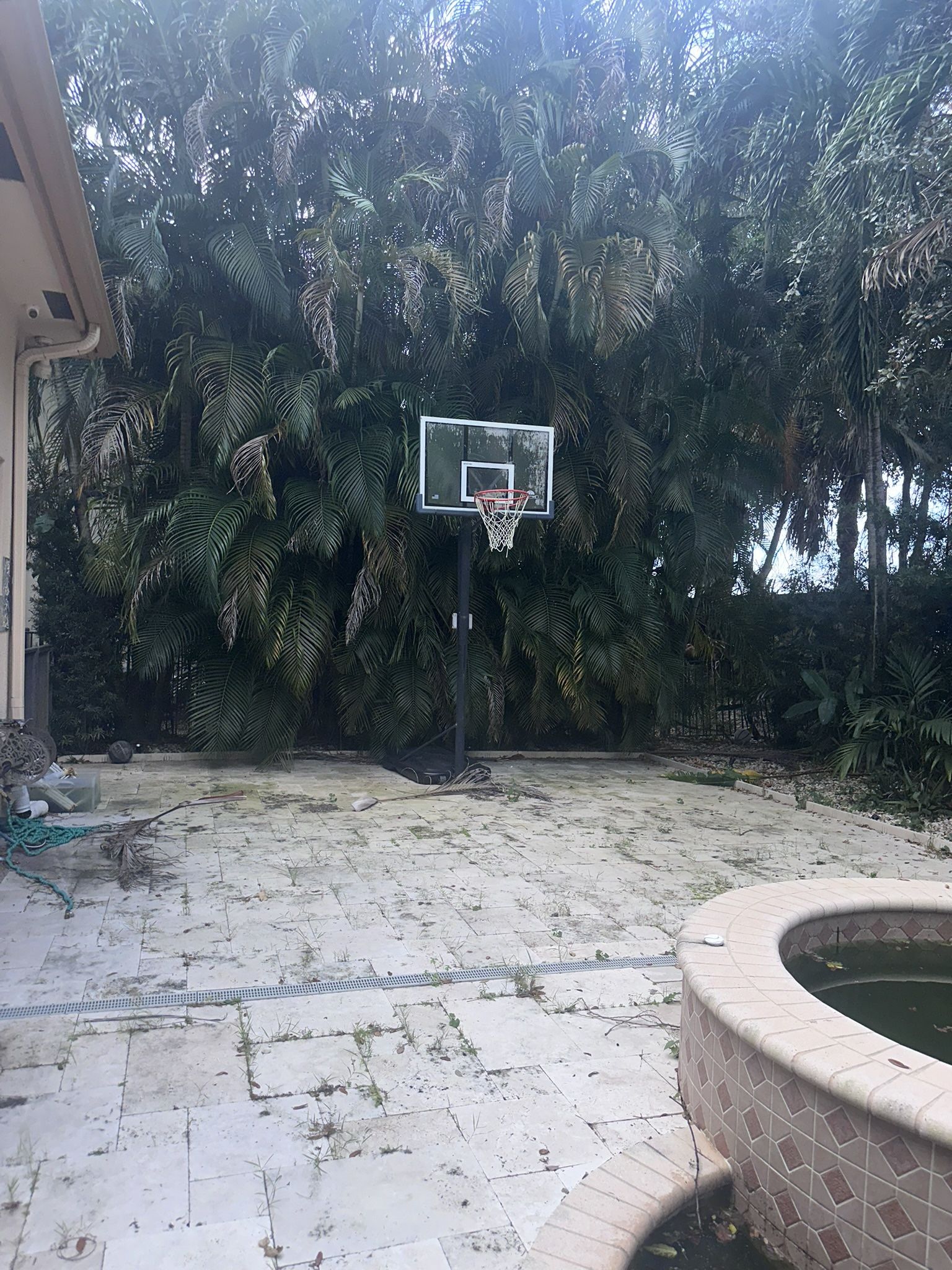 Basketball Hoop