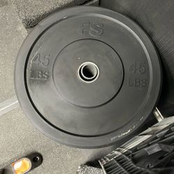 45 Pound Bumper Plate $40