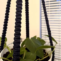 Macrame Plant Hanger 