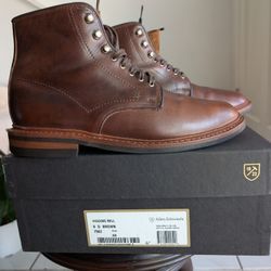 Allen Edmonds Higgins Hill Boots 