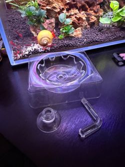 Shrimp tank feeding dish