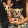 Stephanie