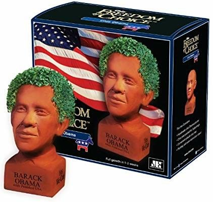 Barack Obama Chia pet