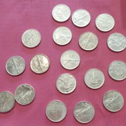 Silver Eagles 18 Count Authentic  Cull