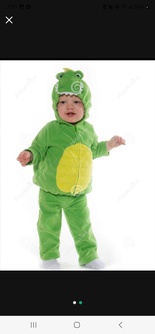Toddler  Dragon Costume, Only Used Once For Brief Period Just For Photos