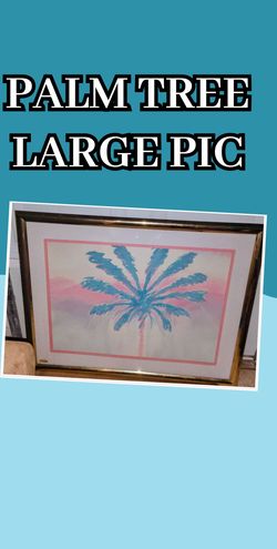 Large palm tree pic
