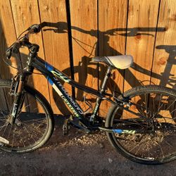 Cannondale Mountain Bike