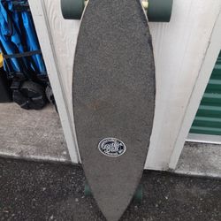 Santa Cruz Longboard