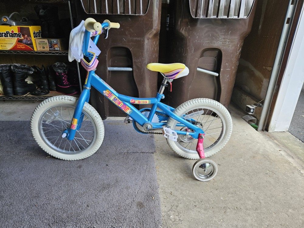 Youth Training Bike
