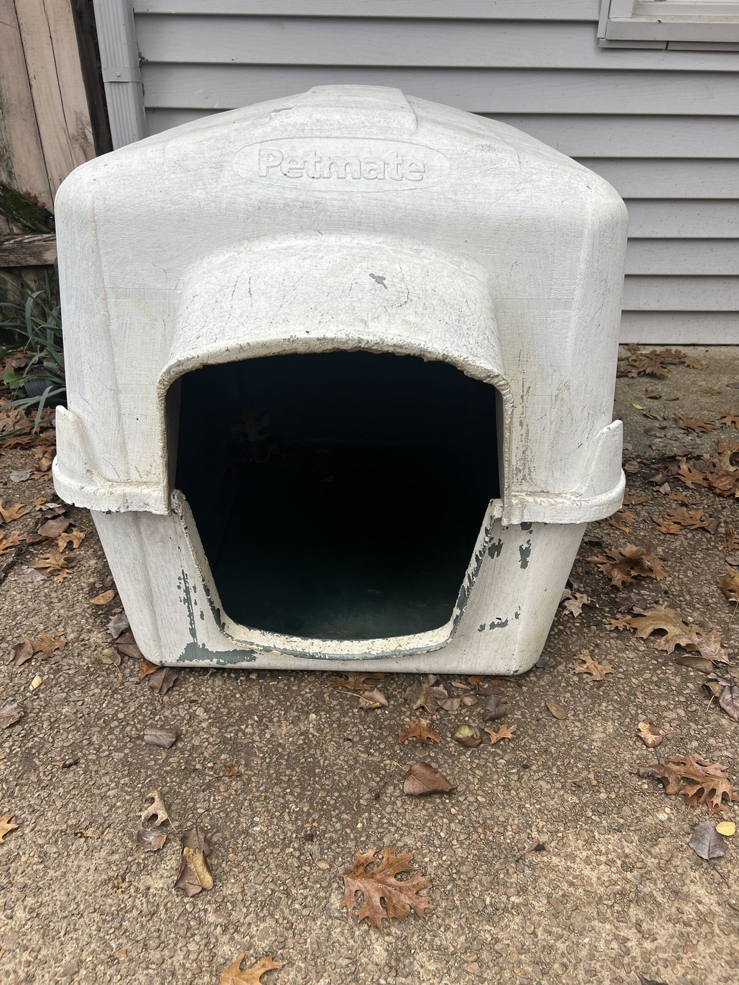 Dog House