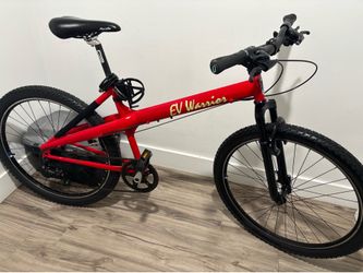EV  WARRIOR custom made maintain  bike