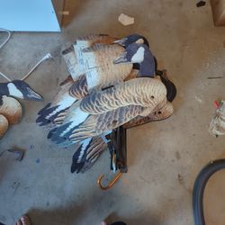 Folding Canada Goose Decoys 