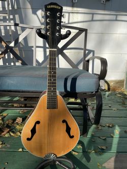 Castillo Mandolin For Parts Or Project 