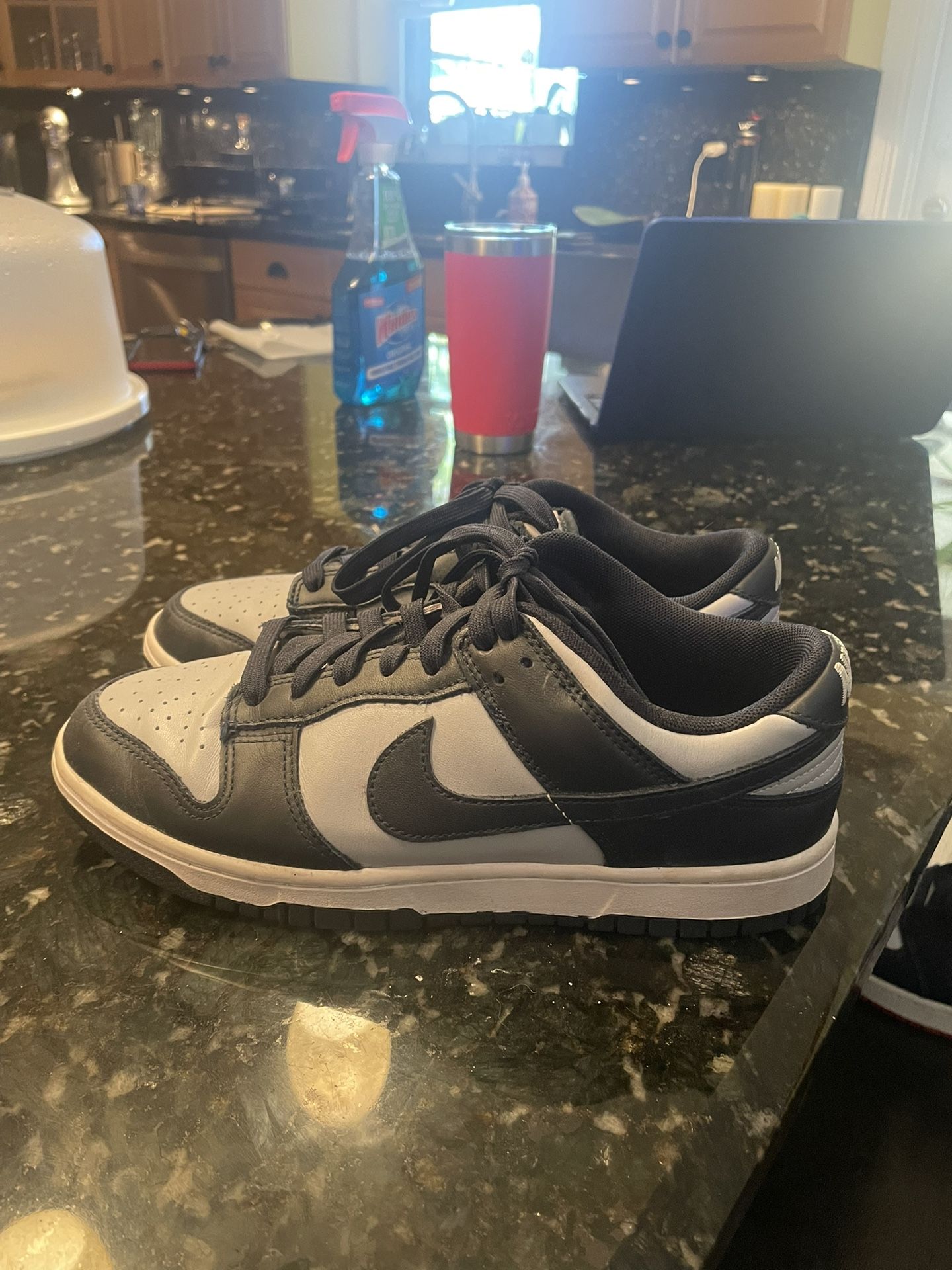 Nike Georgetown Dunks