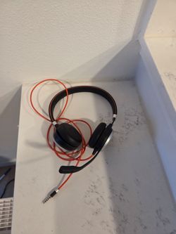 Computer Headphones w/ Mic