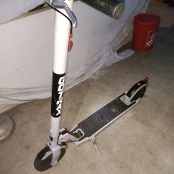 Gotrax Scooter