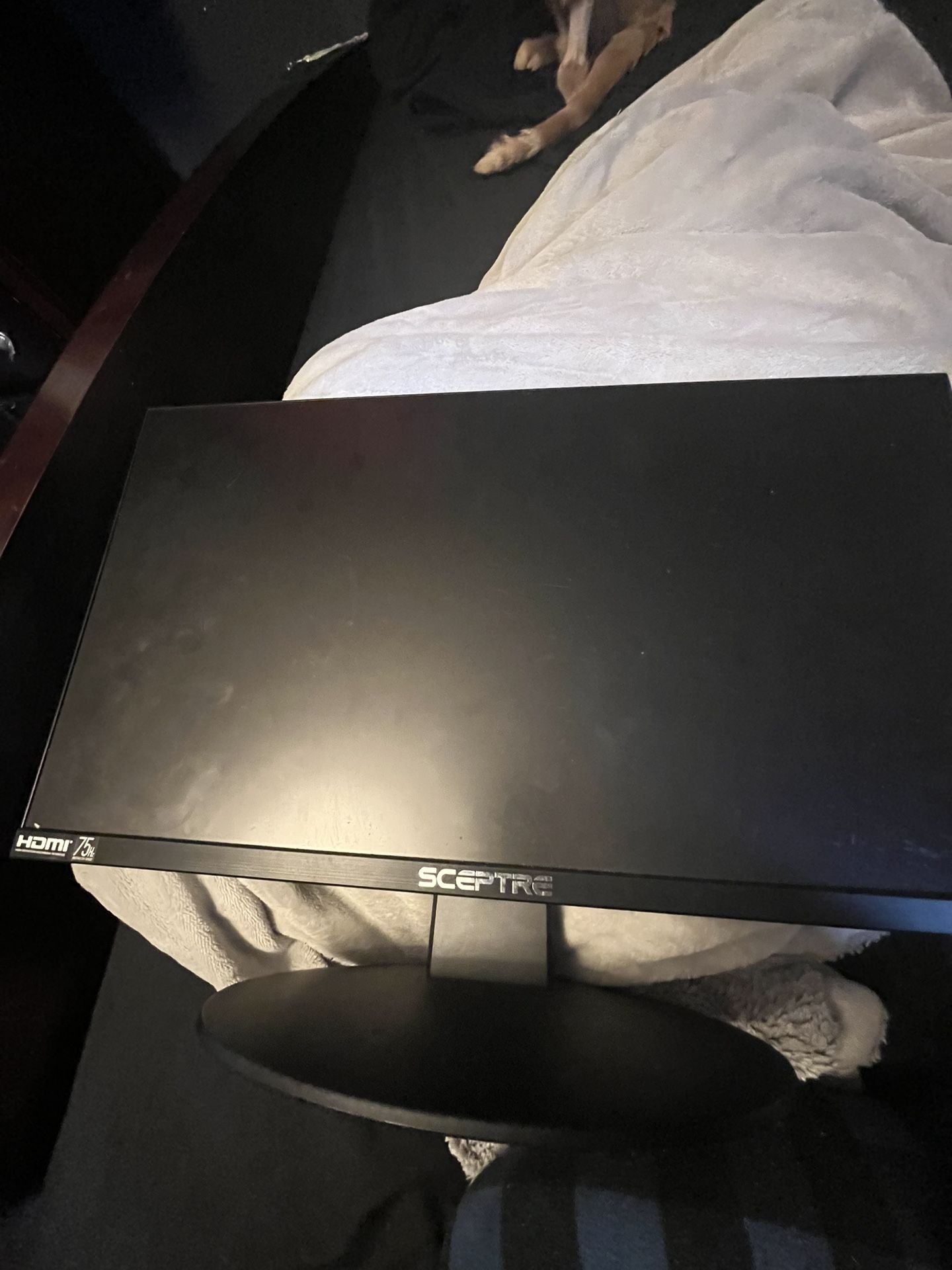 Sceptre Monitor 75 Hz