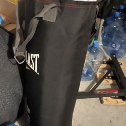 Everlast Punching Bag With Mount