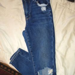 American eagle