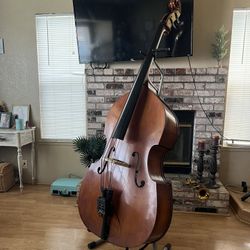 tololoche with shadow pickup