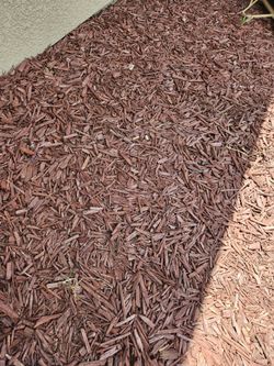 FREE RED BARK