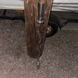 Olympic Curl Bar 